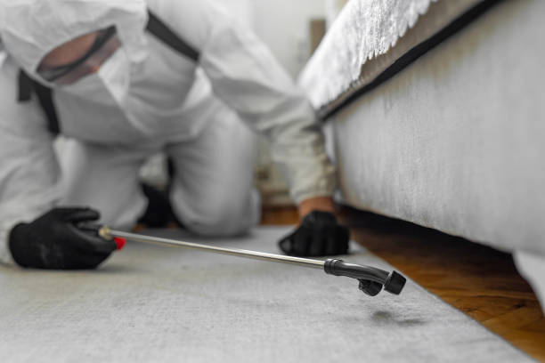 Professional Cockroach Control technician working in Wellington, OH
