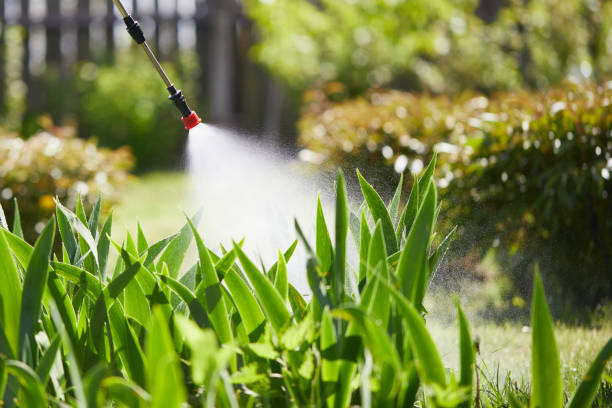 24/7 Emergency Cockroach Control experts in Wellington, OH