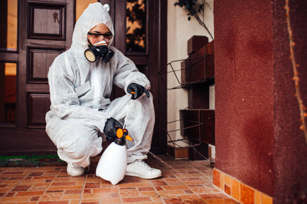 Reliable Cockroach Control contractor in Wellington, OH by Nex Pest Control